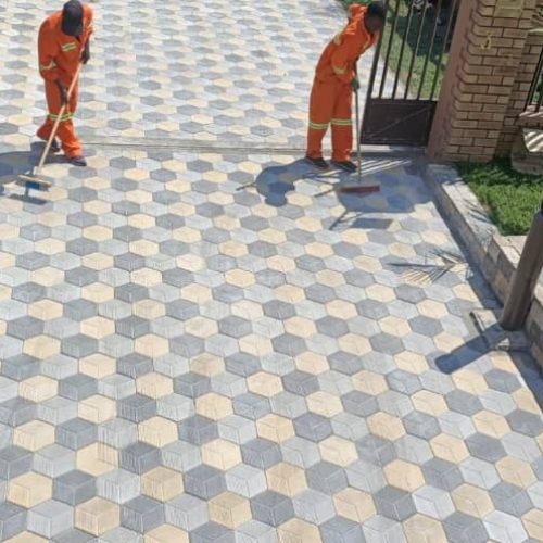 WhatsApp Image 2025-07-16 at 15.41.11